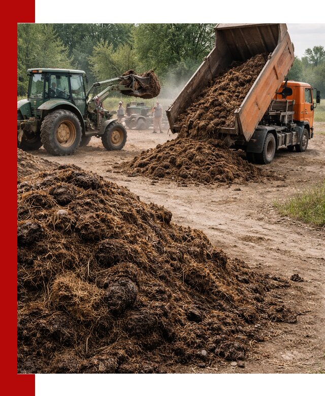 Доставка навоза самосвалами в Боровичах для сельхозпотребностей